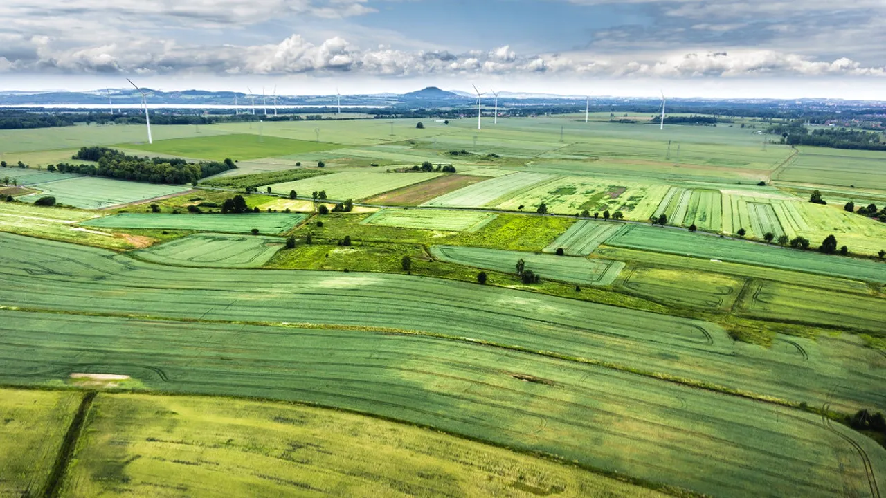 Studiu: Străinii controlează până la 40% din terenul arabil al României