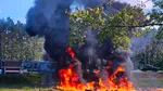 Accident aviatic în SUA: un avion F-16 al armatei americane s-a prăbușit în condiții suspecte în Michigan. Pilotul s-a catapultat în ultimul moment