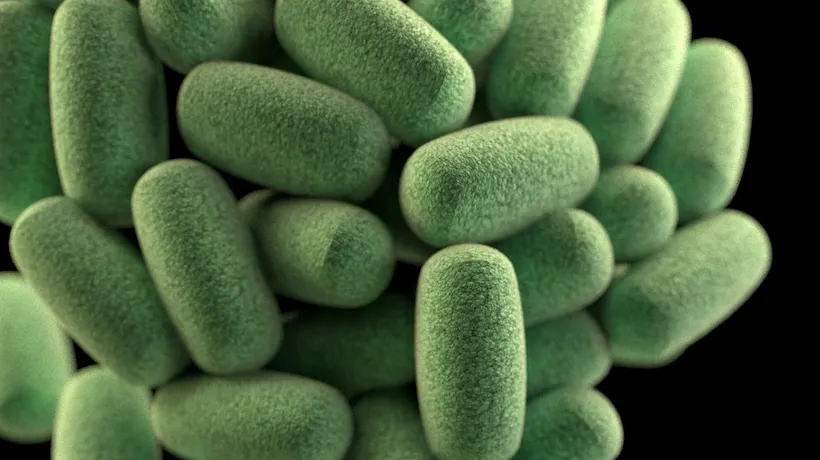 Apă infestată cu Clostridium Perfringens, bacteria extrem de periculoasă, în România
