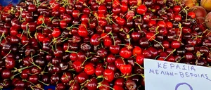 Turiștii români au crezut că nu văd bine! Câți lei costă 1 kg de CIREȘE în Grecia. Sunt mult mai ieftine ca la noi