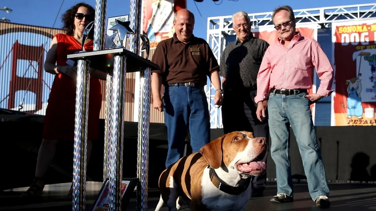 El este Walle, cel mai urât câine din lume