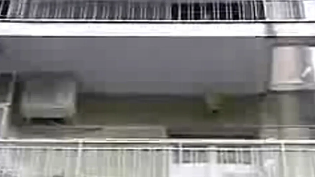 Cineastul Carlo Lizzani s-a sinucis la vârsta de 91 de ani. Președintele Italiei a trimis un mesaj de condoleanțe