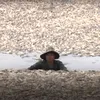 <span style='background-color: #1e73be; color: #fff; ' class='highlight text-uppercase'>EXTERNE</span> VIDEO | Sute de mii de pești mor în Vietnam. Ce cauzează acest dezastru fără precedent