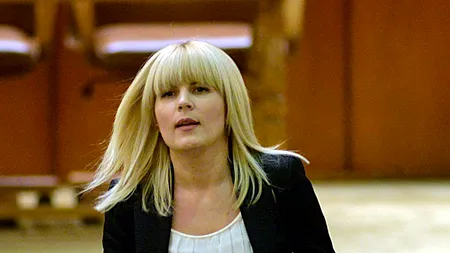 „Super ofertă” la TERENURI numai bune de afaceri în Sectorul 1 al Capitalei. ANAF scoate iar la licitație bunurile Elenei Udrea