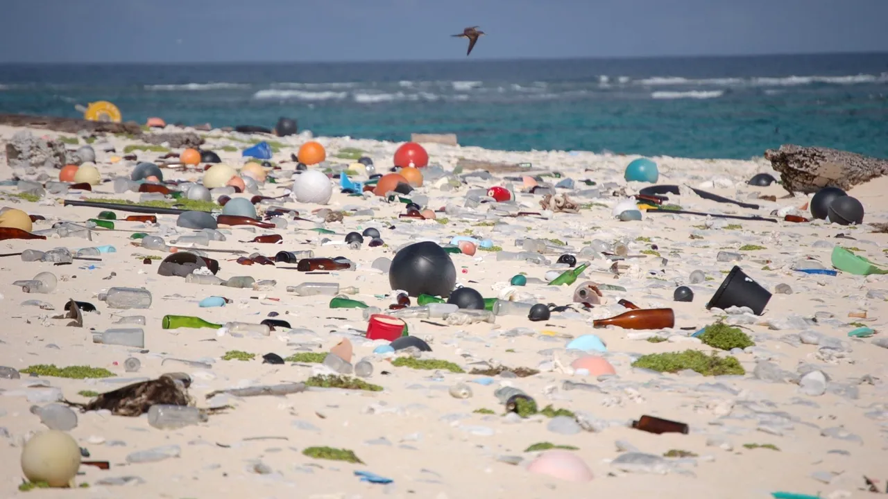 Japonezii au descoperit bacteria care se hrănește cu plastic