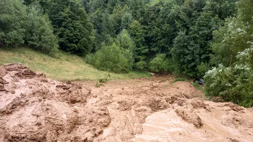Alunecare de teren în Braşov. Zeci de animale au murit