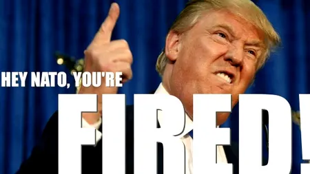 Bufonul are dreptate: NATO nu e o organizație de binefacere