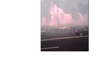 Zeci de mii de locuitori din California au fost evacuați din cauza incendiilor de vegetație
