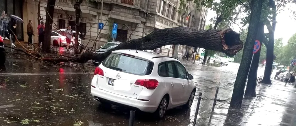 FURTUNA din București a doborât mai mulți copaci și unii au căzut pe firele electrice, iar alții pe mașini. ISU-BIF a anunțat ce zone au fost afectate