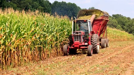 Cât de mult va afecta România interdicția Rusiei privind importurile de alimente din UE: Reacția ministrului Agriculturii