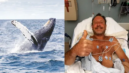 În gura balenei. Cum a supraviețuit bărbatul care era la un pas să fie înghițit de mamiferul marin: „Credeam că voi muri”