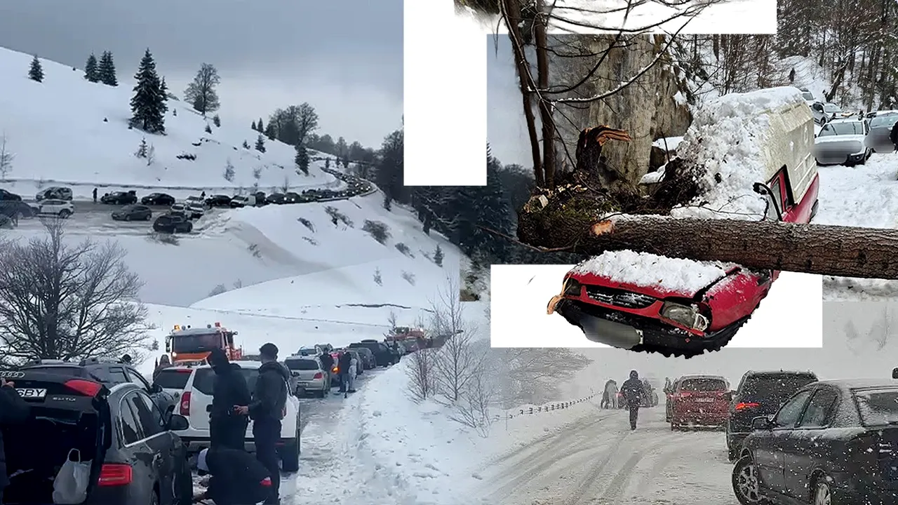 Cod galben de ninsori în jumătate de țară, detalii de ultimă oră pentru Gândul, de la ANM. Zeci de mașini blocate pe drumul spre Rânca, copaci doborâți de zăpadă