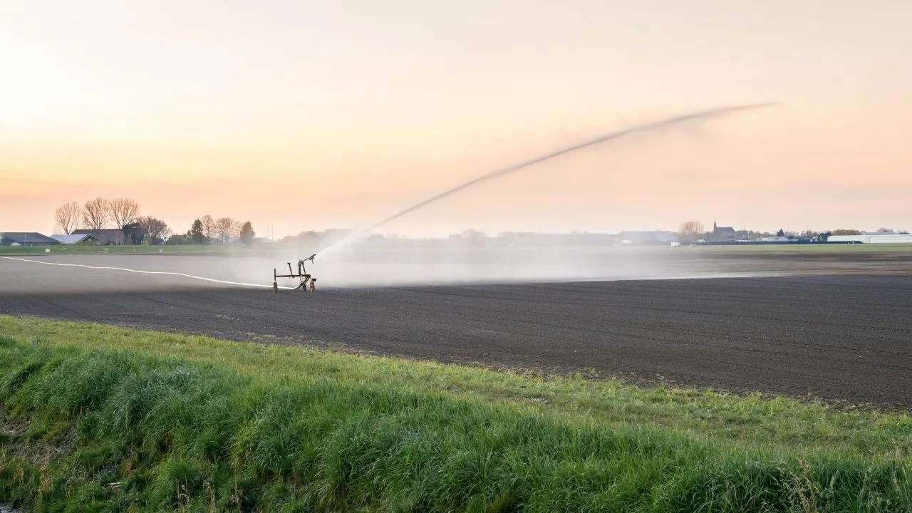 Ministrul Agriculturii, MESAJ crucial pentru fermieri: 