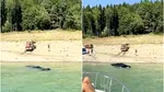 Un bărbat ar fi vrut să își spele mașina în Lacul Bicaz, dar a ajuns să se scufunde total. Ce a urmat