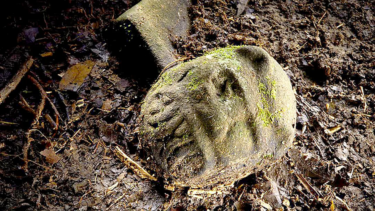 Descoperire unică a cercetătorilor: cea mai veche brățară din lume NU a fost realizază de strămoșii cunoscuți ai oamenilor, ci de o altă creatură controversată