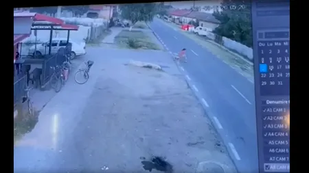UPDATE | Accident cumplit în Dolj. O fetiță pe bicicletă, spulberată de o mașină și lăsată să moară pe marginea drumului. Șoferul a fost arestat preventiv (VIDEO)