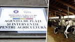 Controalele APIA, aproape de final: peste 88% dintre fermieri, deja verificați