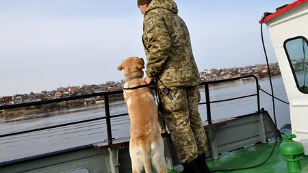 Vameșii ucraineni au făcut descoperirea vieții lor în Râul Tisa. Ce venea din România. VIDEO