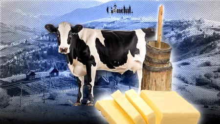Cauza penuriei de unt românesc pe rafturile magazinelor: Laptele vacilor carpatine nu este suficient de gras