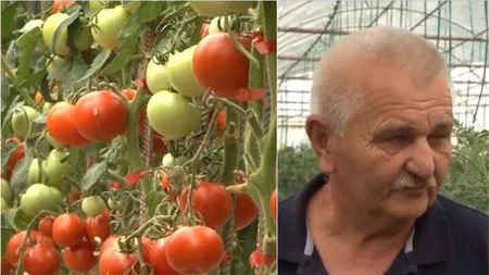 Povestea românului care crește legume BIO și le vinde cu 60% mai ieftine decât în magazine: „Pământul nu a văzut de vreo 30 de ani chimicale”