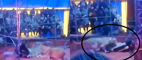 Un leu își atacă dresorul în timpul unui spectacol de circ în Rusia (VIDEO)
