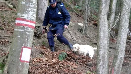 Descoperire teribilă pe un traseu turistic din Slănic Moldova. Ce au găsit jandarmii care căutau planorul dispărut