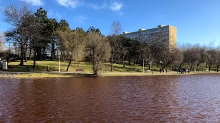 Lacul IOR, poluat cu fecale! Fundația Eco Civica lansează acuze grave (Galerie FOTO)