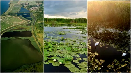 Locul SUPERB din sudul României pe care îl știu puțini turiști! Este asemănător cu Delta Dunării