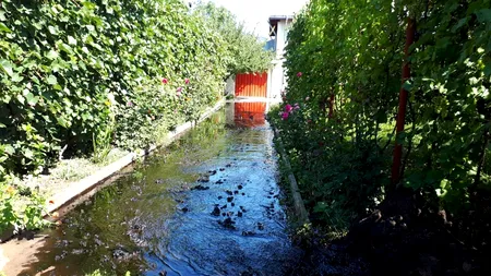 O conductă care transporta petrol s-a fisurat. Curțile oamenilor, inundate cu țiței, în Bacău