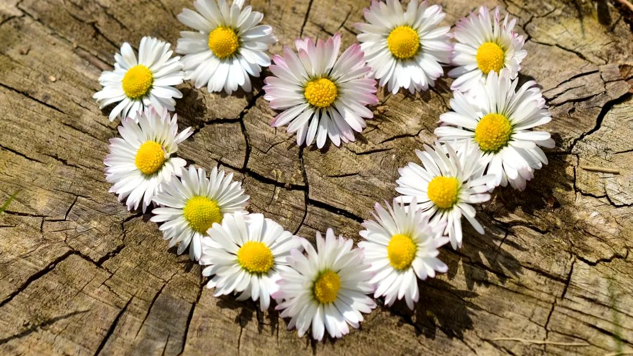 Legenda Dragobetului. Data la care era de fapt sărbătorit Dragobetele până acum 70 de ani