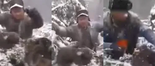Revoltător! Patru ursuleți sunt scoși brutal din bârlog și aruncați în zăpadă. Cine sunt făptașii (FOTO & VIDEO)