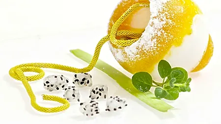 Un dispozitiv transformă deșeurile din plastic în ciuperci comestibile