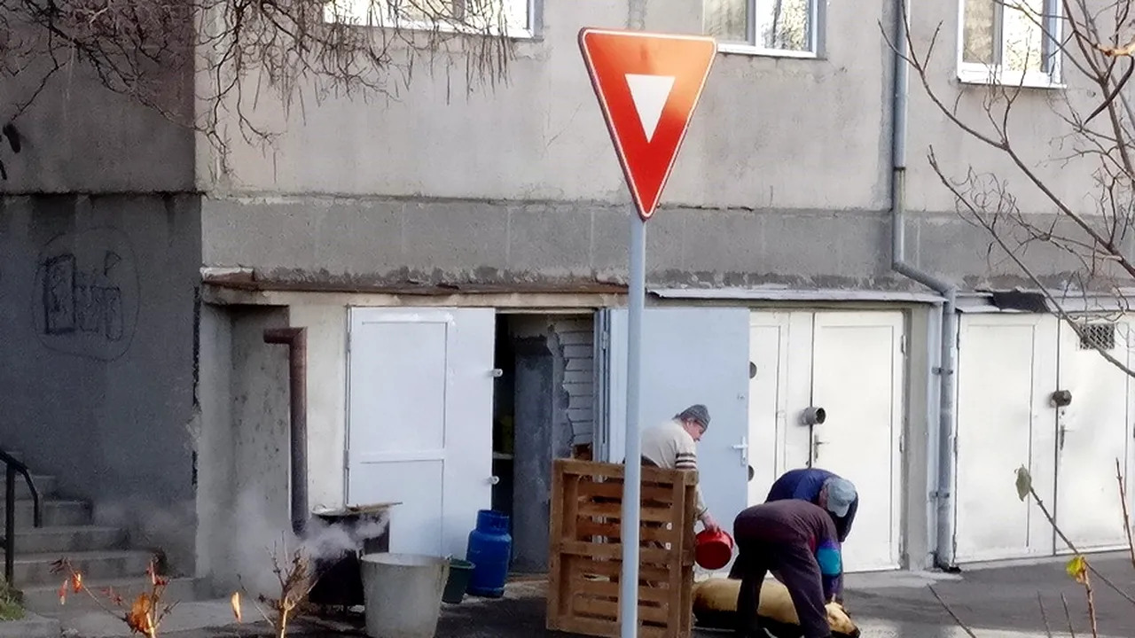 Bărbat amendat după ce a tăiat porcul în spatele blocului. Vecinii orădeanului au alertat poliția locală