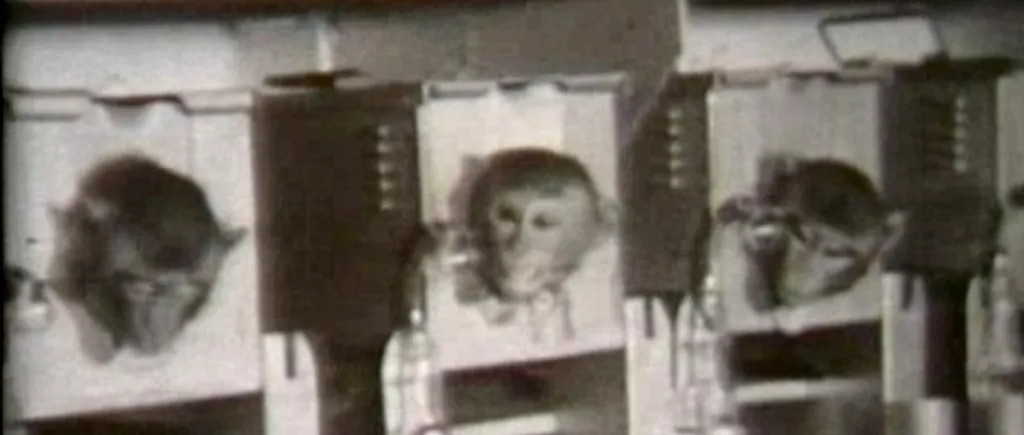 VIDEO. Imagini în premieră din timpul operațiunii secrete Cauldron, din anii `50