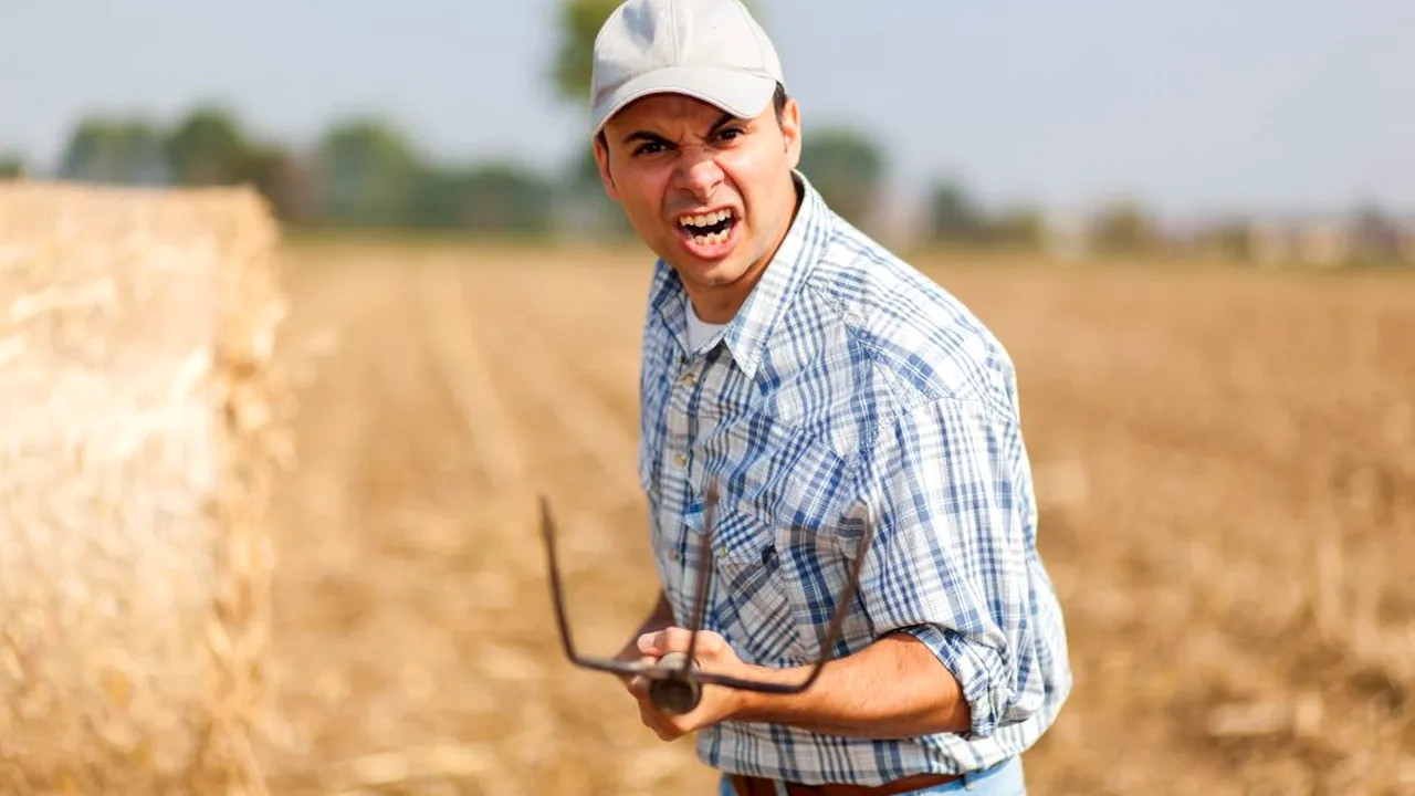 Decizie. Fermierii protestează față de bugetul alocat de Ministerul Agriculturii unei măsuri de sprijin. Este în joc soarta a 90.000 de cultivatori