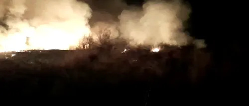 Incendiu puternic de vegetație în județul Argeș | VIDEO