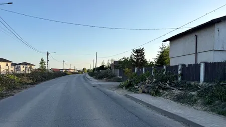 Modernizare cu DRUJBA la o primărie din țară. Au tăiat masiv copacii ca să facă loc pistelor de biciclete