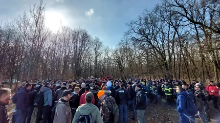 Noi detalii în cazul STUDENTEI DISPĂRUTE din Sibiu! Polițiștii i-au găsit hainele și telefonul într-o pădure de la marginea orașului