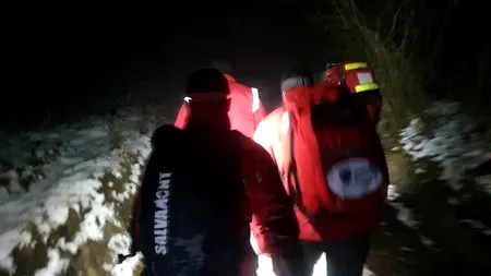 Bărbat atacat de urs, găsit mort într-o casă din pădure, în județul Harghita