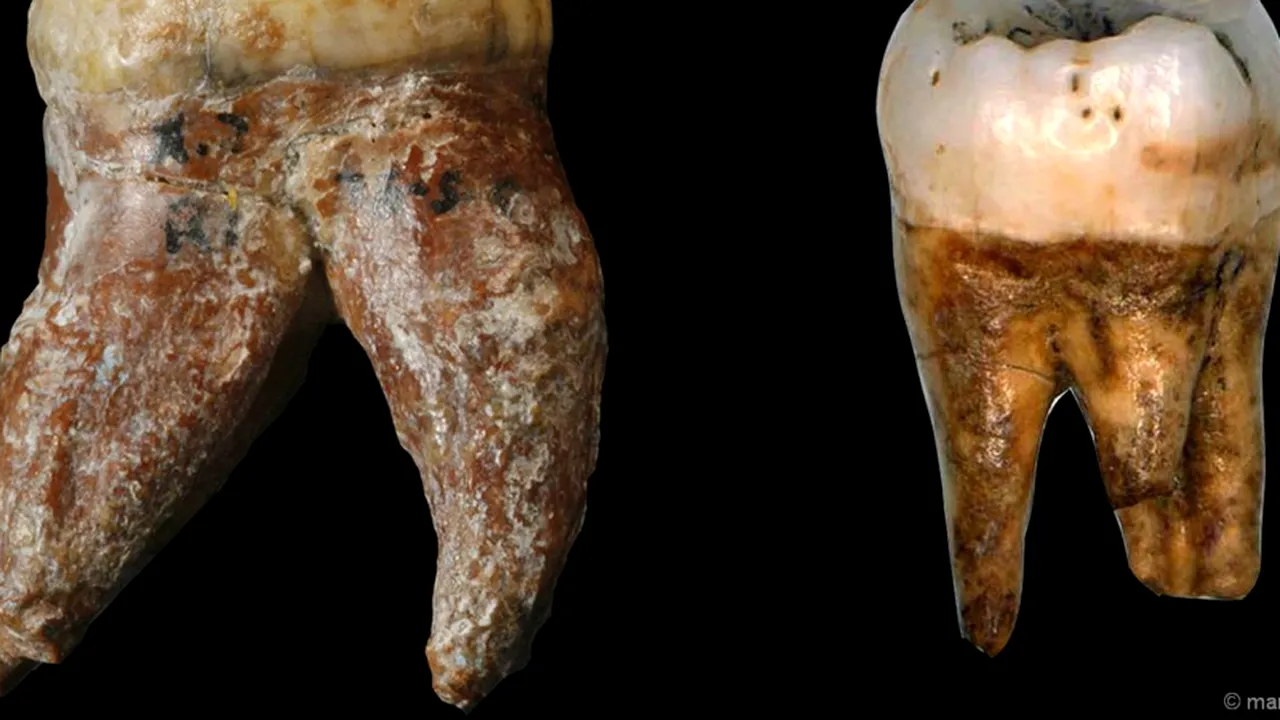 Cercetătorii cred că au descoperit o nouă specie de om primitiv