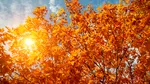Temperaturile cresc cu 3-4 grade C în weekend. Unde va fi soare și în ce zi