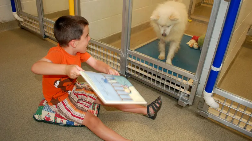 Experiment inedit: Copiii le citesc câinilor pentru a-i calma
