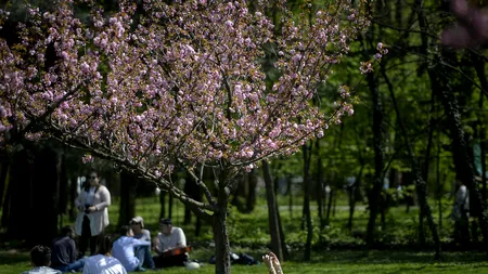 Prognoza METEO. Avertizări de COD GALBEN de vânt. Cum va fi vremea în acest weekend