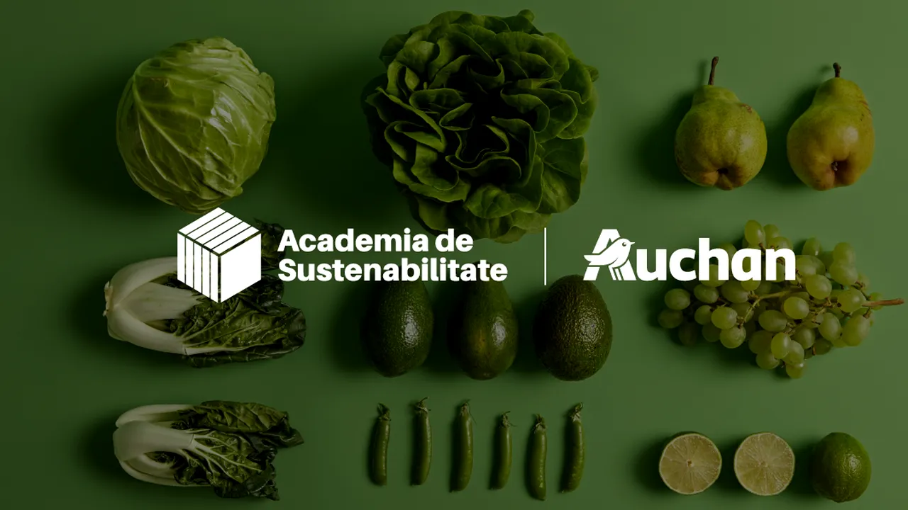 Academia de Sustenabilitate, în parteneriat cu Auchan România, lansează un nou curs de sustenabilitate în retail (P)