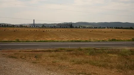 Mii de hectare de teren din Prahova afectate de secetă; contracte pentru irigații, doar pentru 12,5 ha