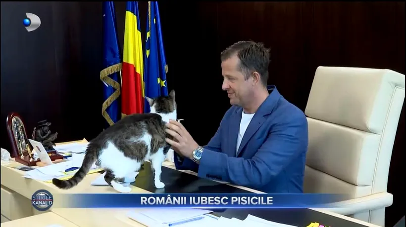 (P) Hubert THUMA a sărbătorit Ziua PISICII la birou/Ne dau LECȚII de preț