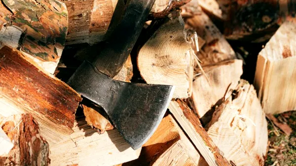 O producție americană de top a fost lansată pe piață. „Superlemnul” este de zece ori mai dur ca oțelul, la nivel celular