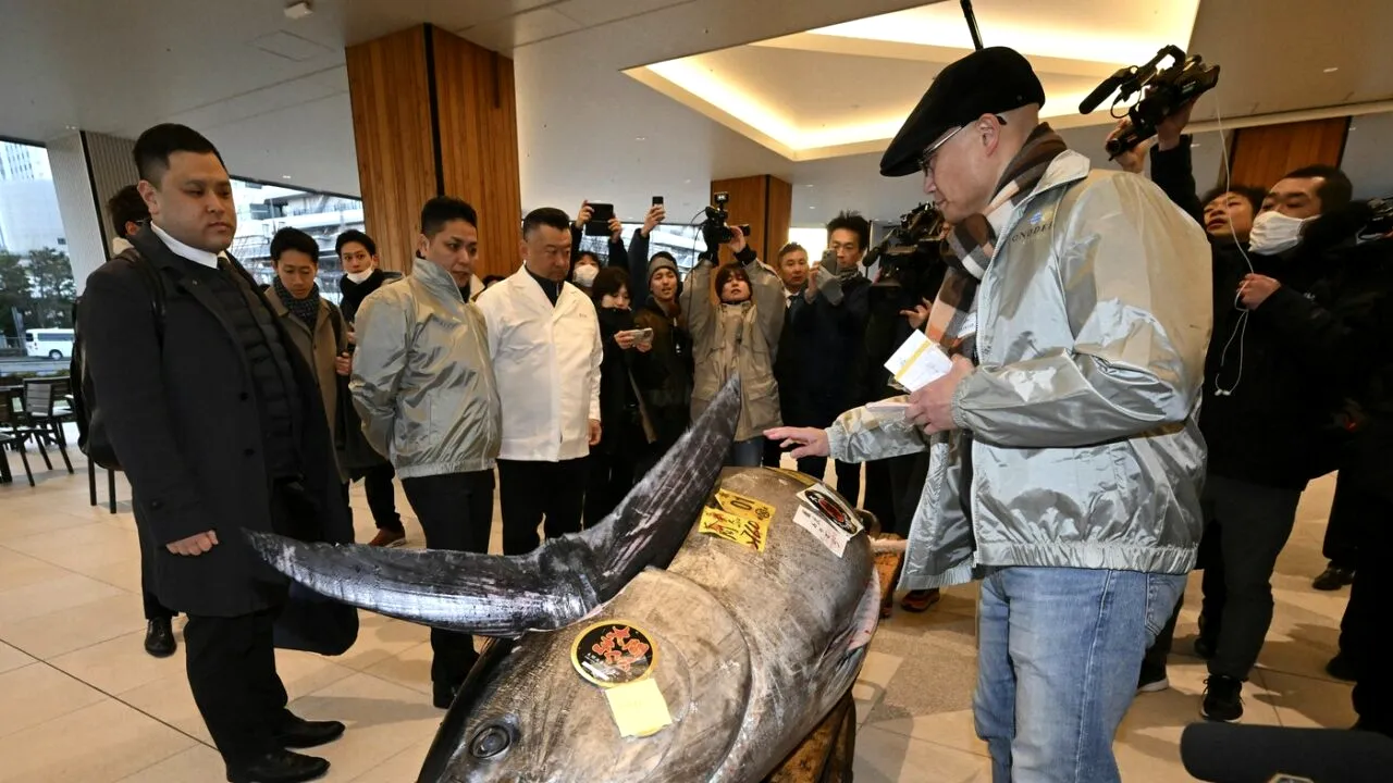 Suma URIAȘĂ cu care s-a vândut la Tokyo un ton de 276 kg. Preţul nu a atins suma-record din 2019