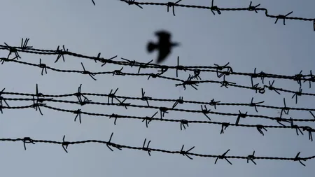 Țările care își închid închisorile din lipsă de deținuți. Cum arată un penitenciar de 5 stele. „Scopul nostru nu e să umilim oamenii, ci să-i schimbăm