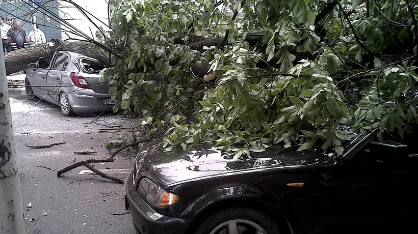 Primarul Băluță anunță că îi despăgubește pe proprietarii mașinilor avariate din cauza vremii: Primăria Sectorului 4 are asigurare